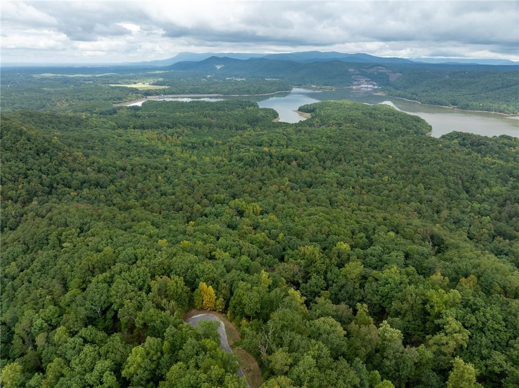 Carters Overlook, Ranger, Georgia image 3