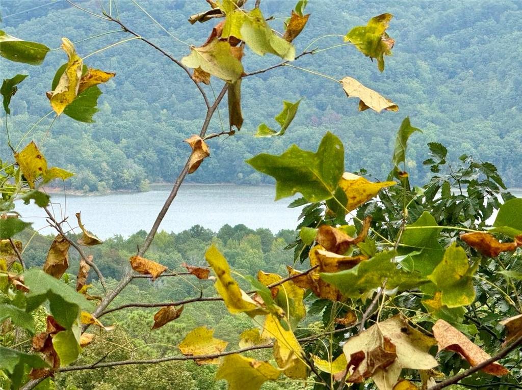 Carters Overlook, Ranger, Georgia image 13