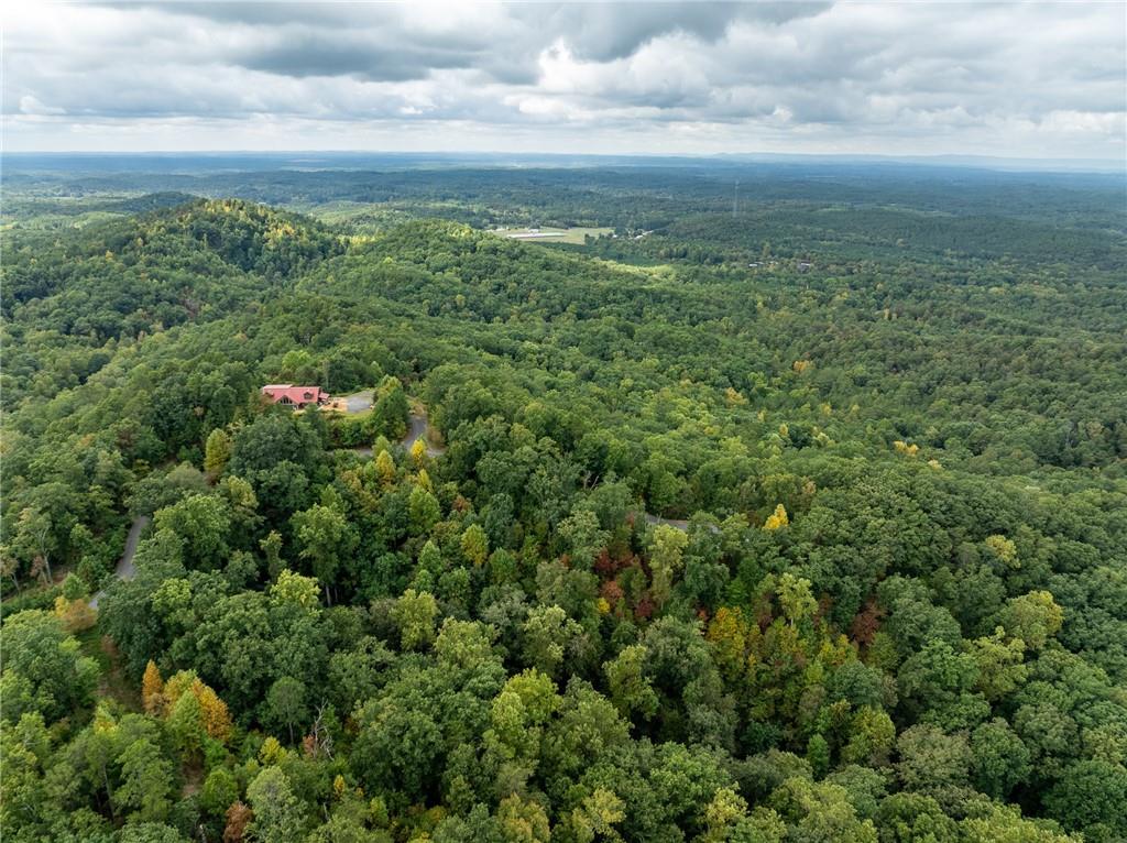 Carters Overlook, Ranger, Georgia image 5