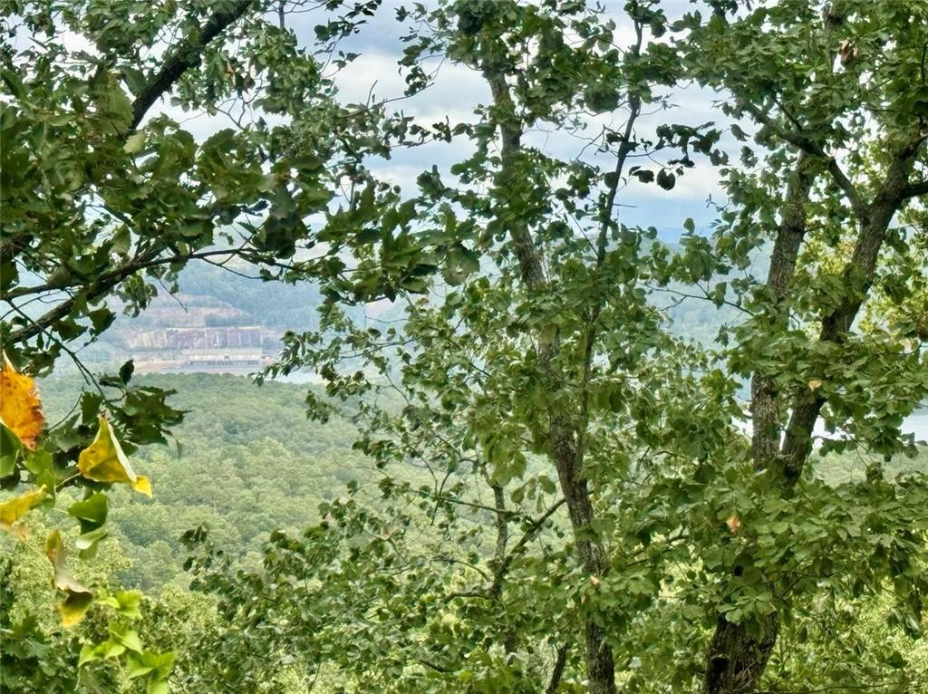 Carters Overlook, Ranger, Georgia image 15