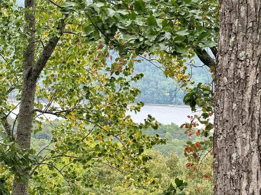 Carters Overlook, Ranger, Georgia image 14