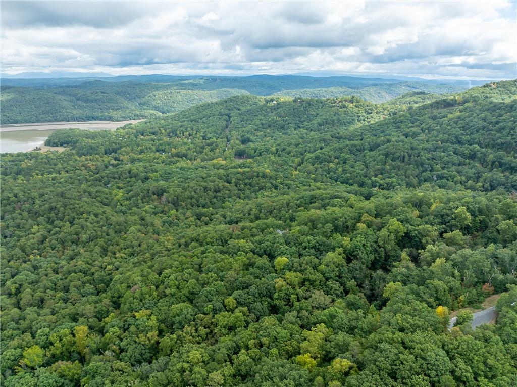 Carters Overlook, Ranger, Georgia image 7