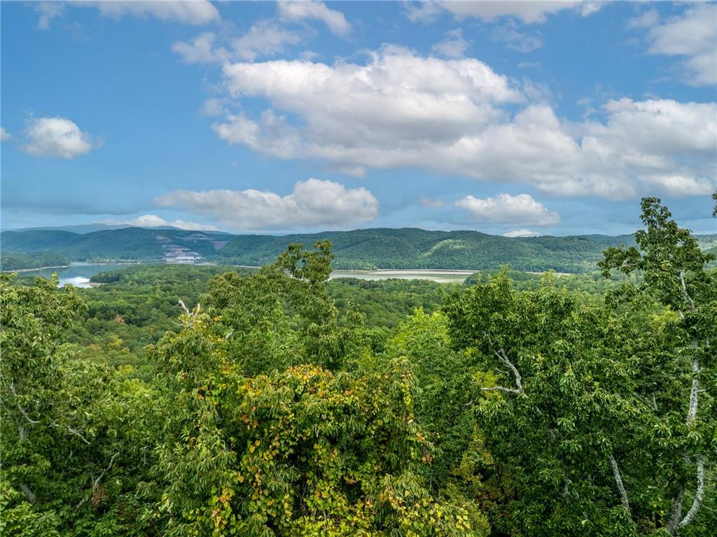 Carters Overlook, Ranger, Georgia image 8