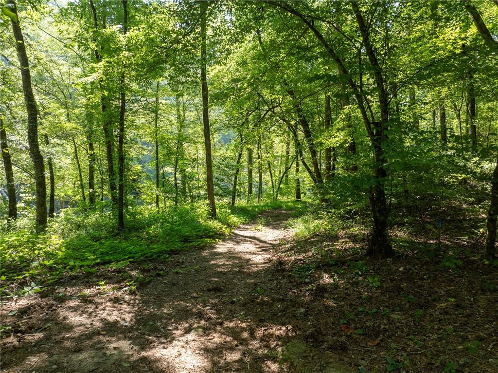 Carters Overlook, Ranger, Georgia image 47