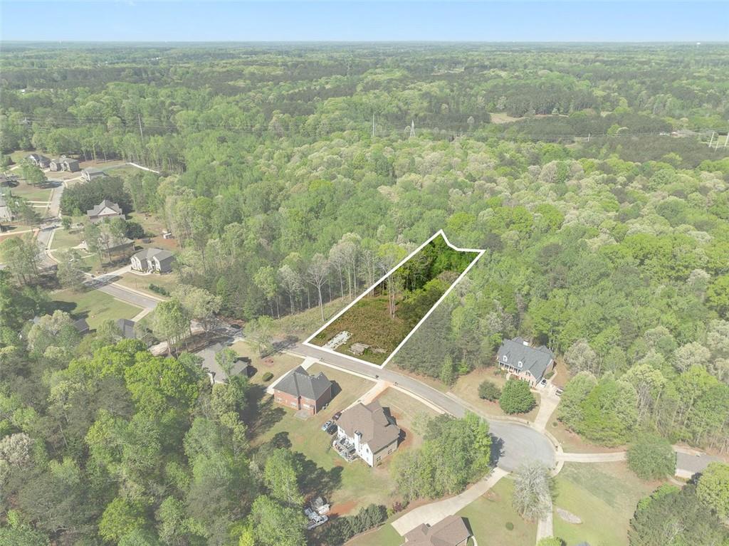 3184 Jackson Creek Drive, Stockbridge, Georgia image 1