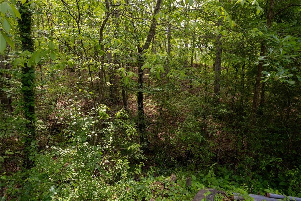 Lower Scott Mill Road, Canton, Georgia image 2