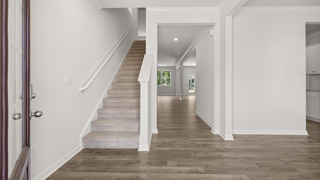 333 Belmont Drive