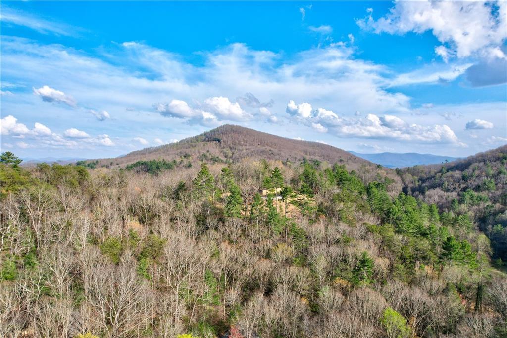 91 Mountain View Drive, Cherry Log, Georgia image 3