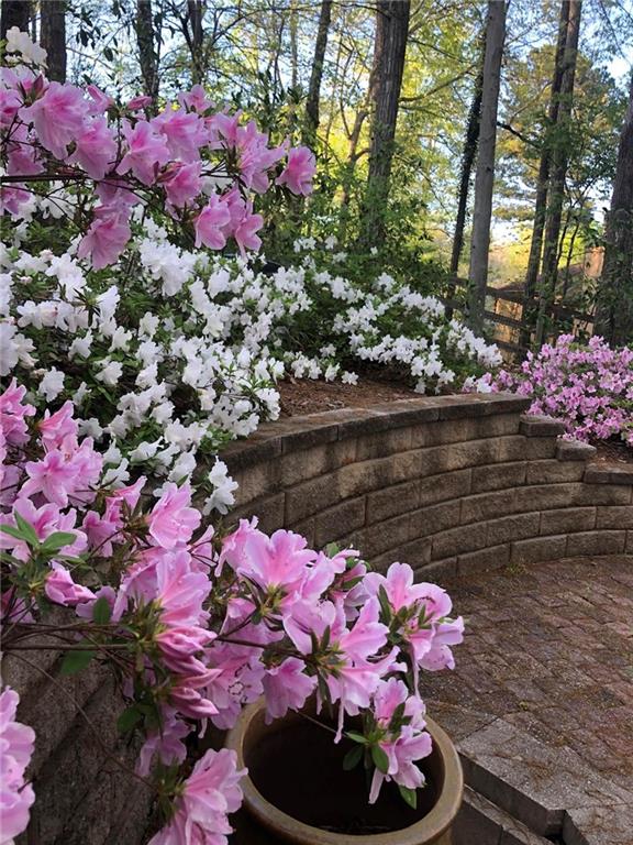 8665 Steeplechase Drive