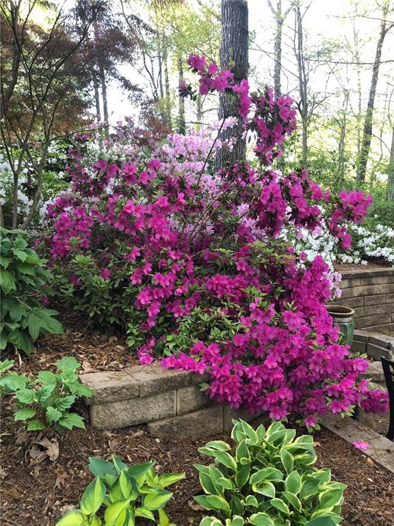 8665 Steeplechase Drive