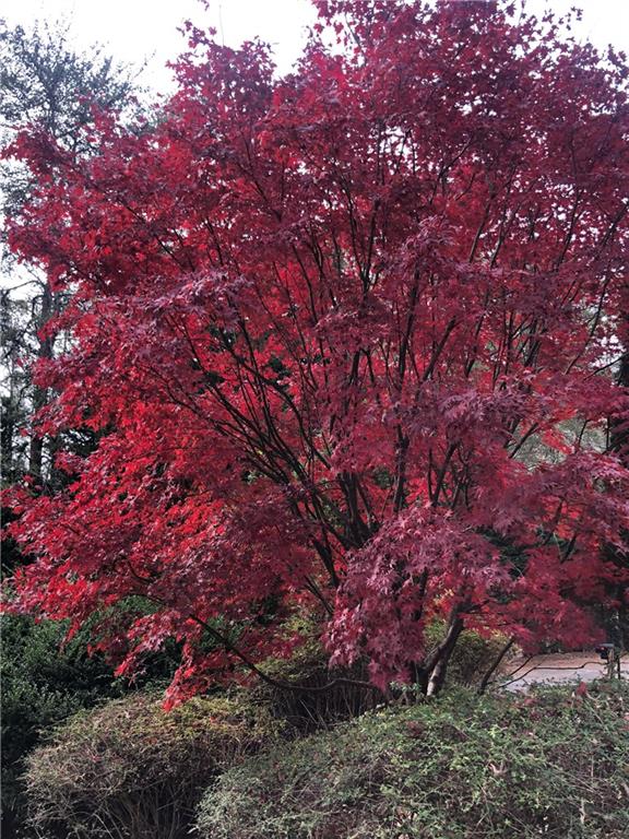 8665 Steeplechase Drive