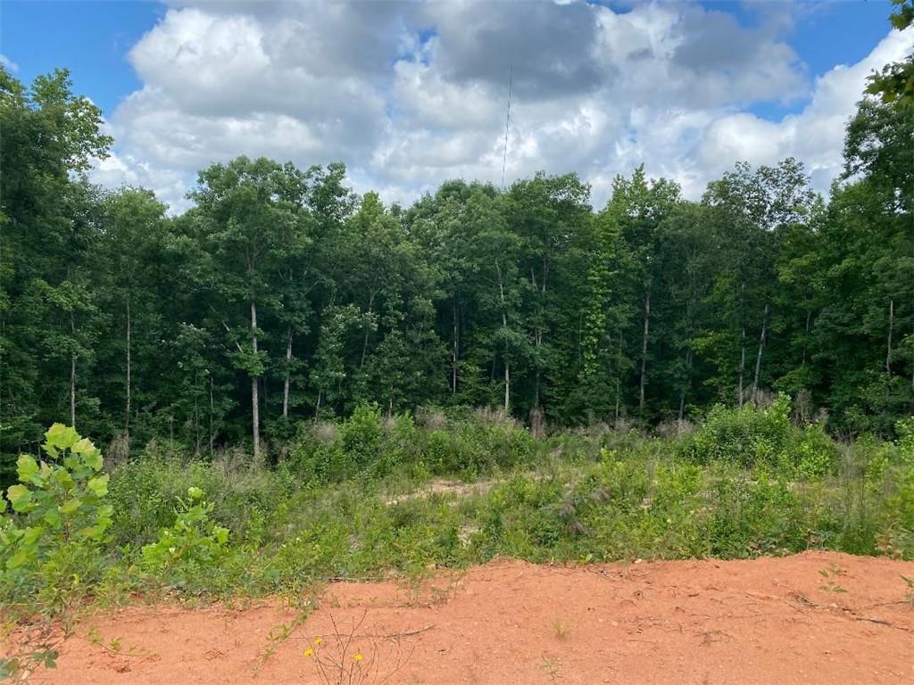 Just over 1 acre residential cul-de-sac, basement lot overlooking wooded privacy of the neighborhood's green space. Lot is located within Alcovy Bluff subdivision providing swim, tennis, sidewalks, street lights and more. Build your dream home in a well-established neighborhood.
*Seller has engineered septic design on hand and permitted. Lot has been cleared for construction.