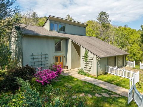Homes For Sale - 215 Murphy Lane<br/> Mineral Bluff, GA 30559