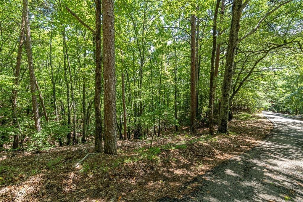 64 Wrens Nest, Big Canoe, Georgia image 3