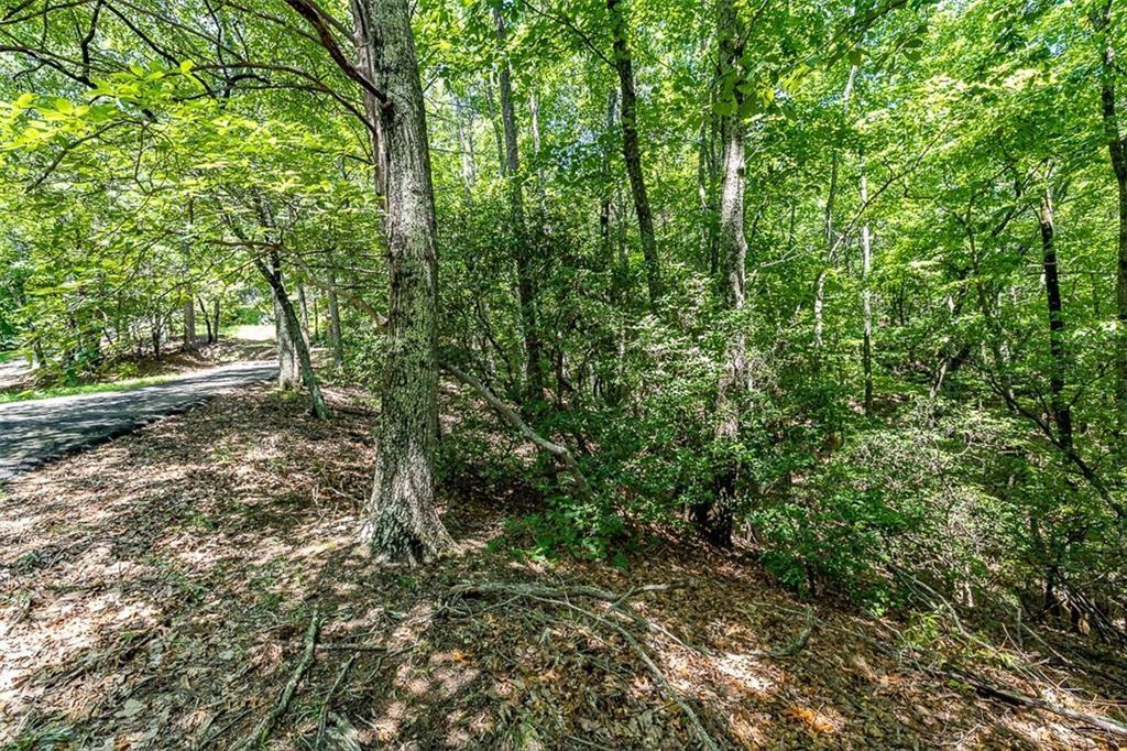64 Wrens Nest, Big Canoe, Georgia image 14