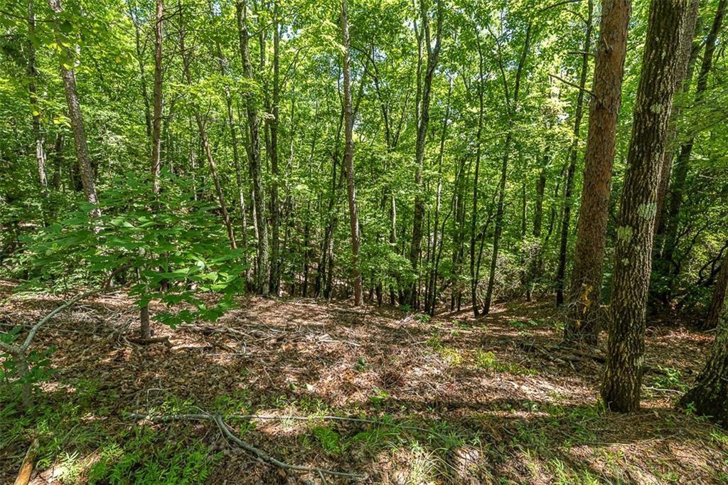 64 Wrens Nest, Big Canoe, Georgia image 16