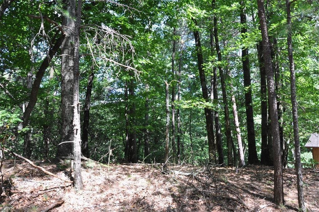 64 Wrens Nest, Big Canoe, Georgia image 8