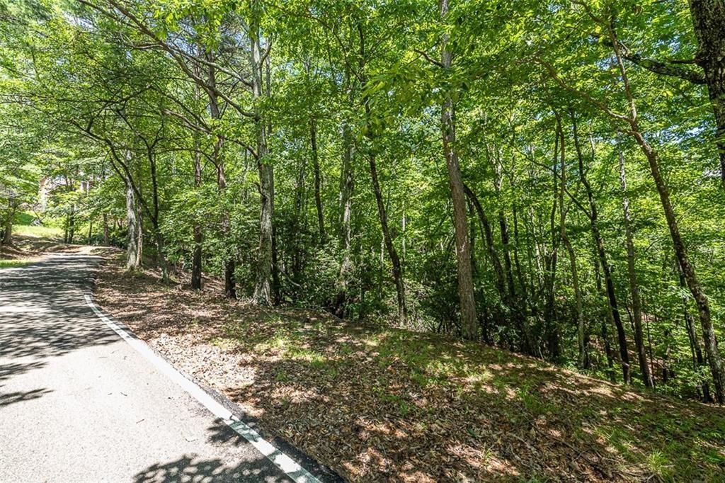 64 Wrens Nest, Big Canoe, Georgia image 15