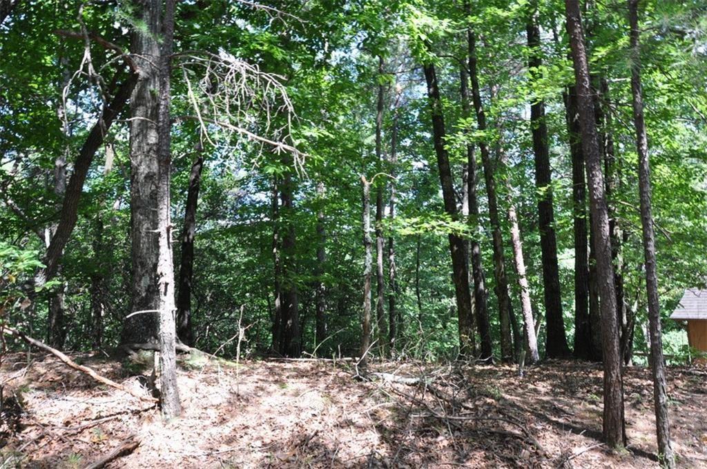 64 Wrens Nest, Big Canoe, Georgia image 7