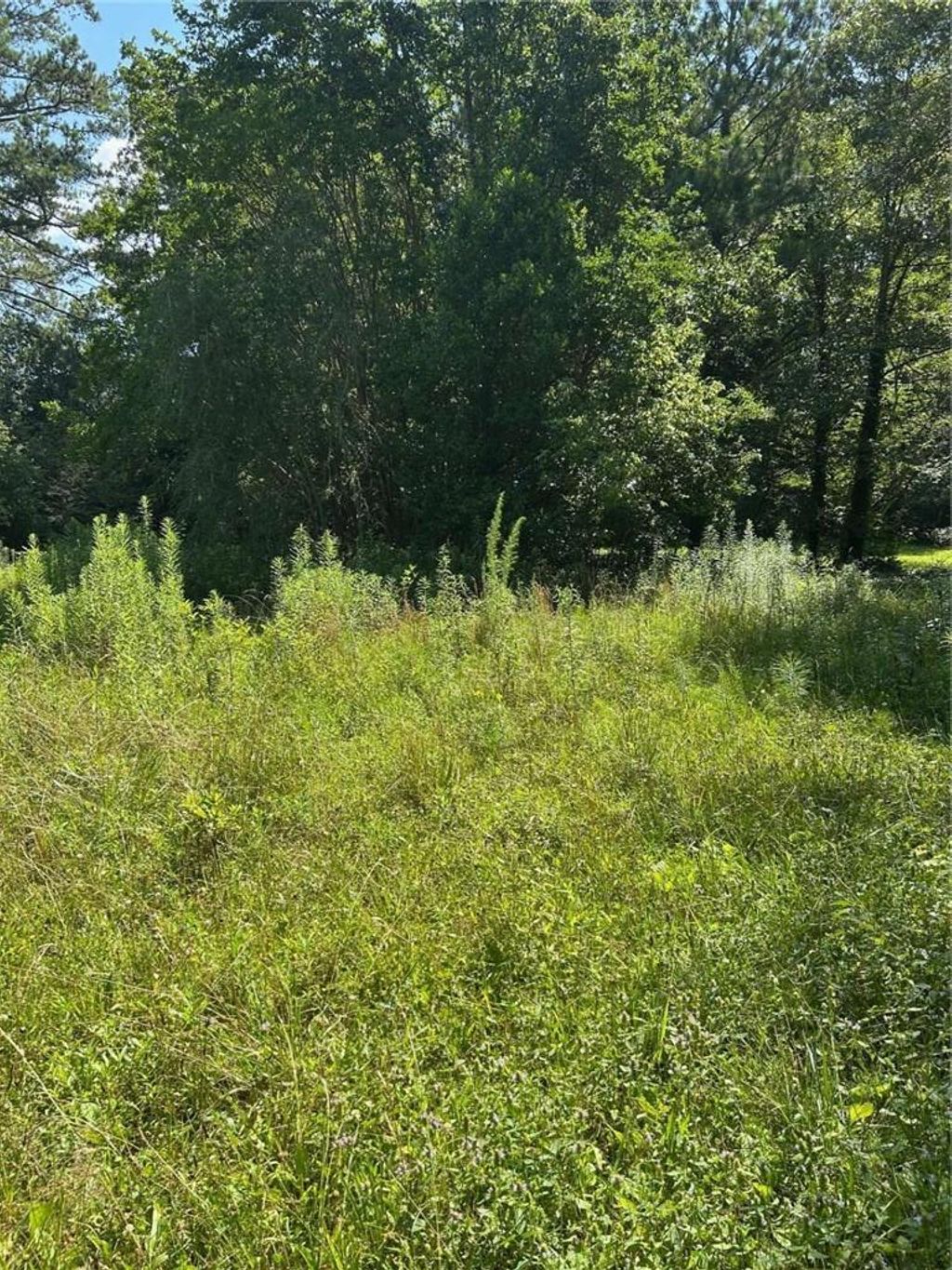 Photo of 2370 Ebenezer Road, Conyers, GA 30094 (MLS # 7704067)