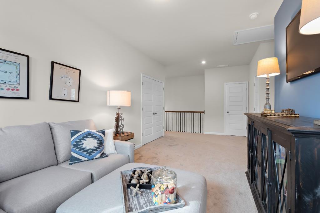 295 Cranston Drive, Canton, Georgia image 25