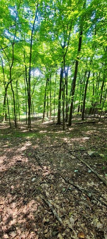 1649 Moss Patch Trail