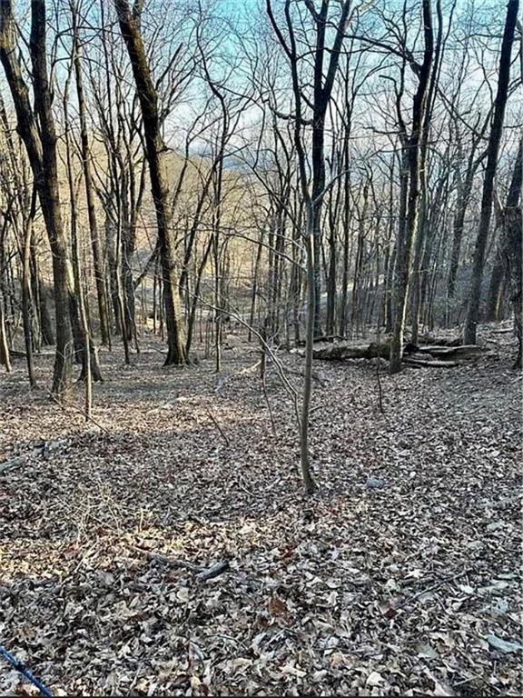 1649 Moss Patch Trail