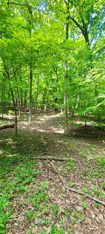 1649 Moss Patch Trail