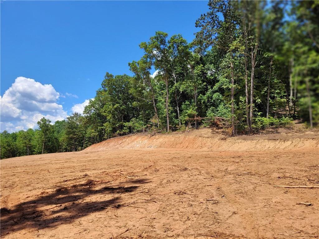 000 Shadow Mountain Lane, Cleveland, Georgia image 4