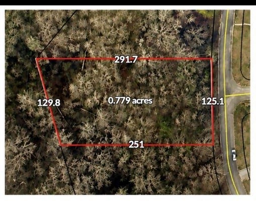 807 ANNA KATHRYN DR, STOCKBRIDGE, GA 30281 - Image 677d7e4a32622f5a4d57a331c21a2e3a/72085608