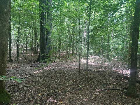 Vacant Land For Sale - 111 Riversong (tract 26)<br/> Carrollton, GA 30117