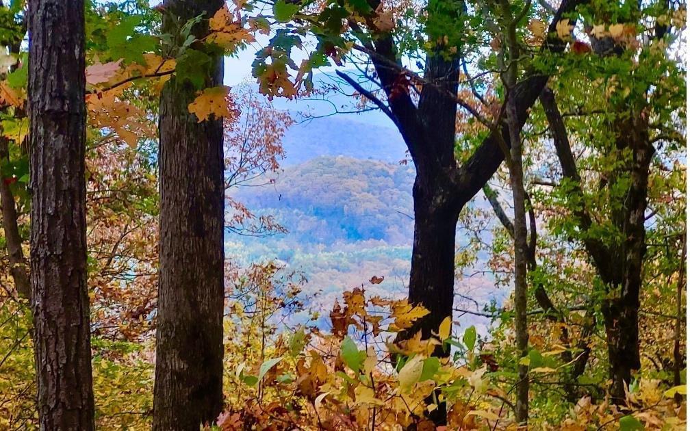 43.91 Old Burnt Mountain