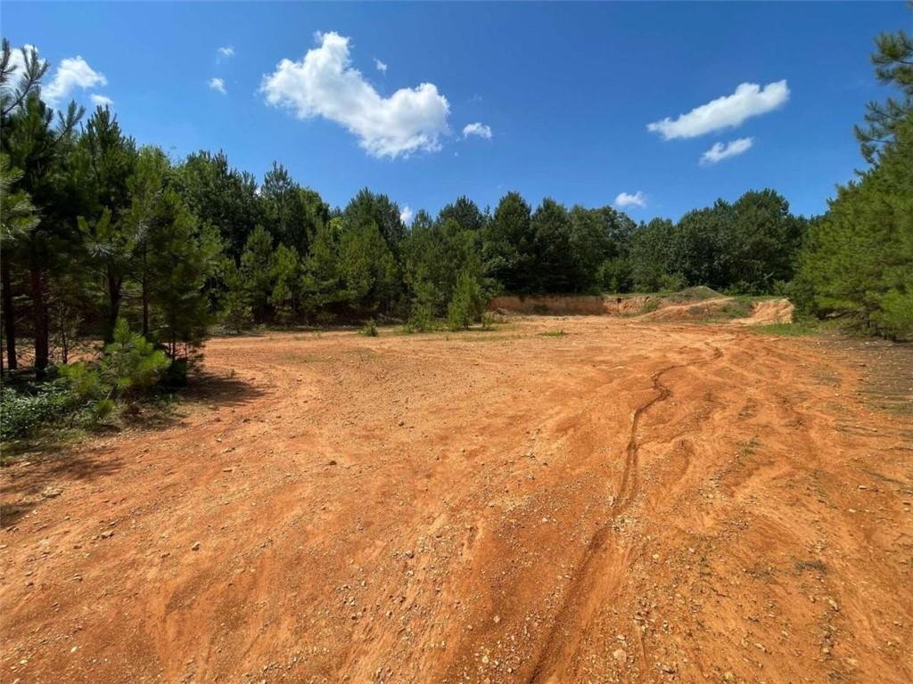 Fallen Branch Circle, Rome, Georgia image 19