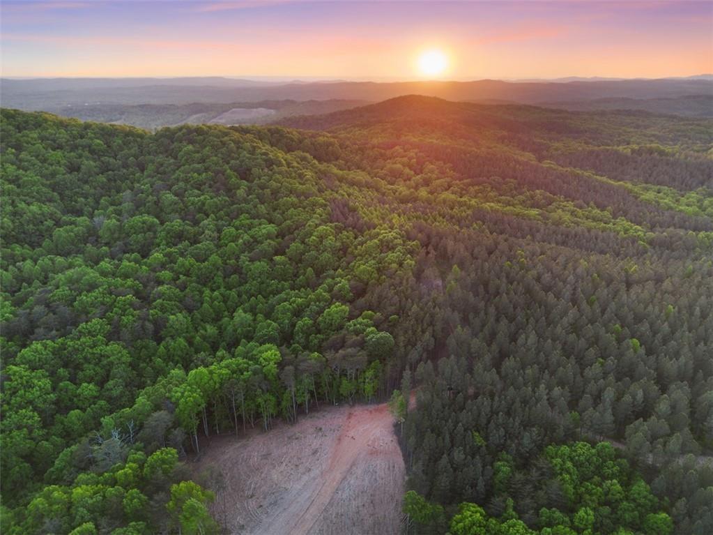 1250 Sunset Ridge, Talking Rock, Georgia image 3