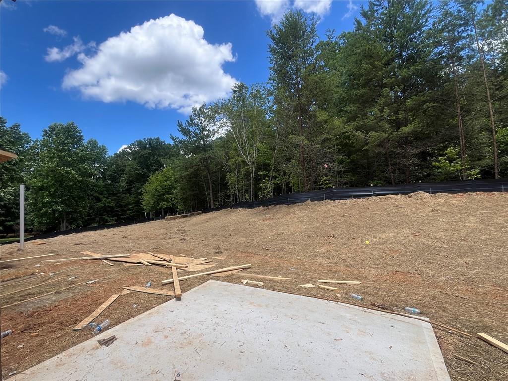 54 Odgers Trail