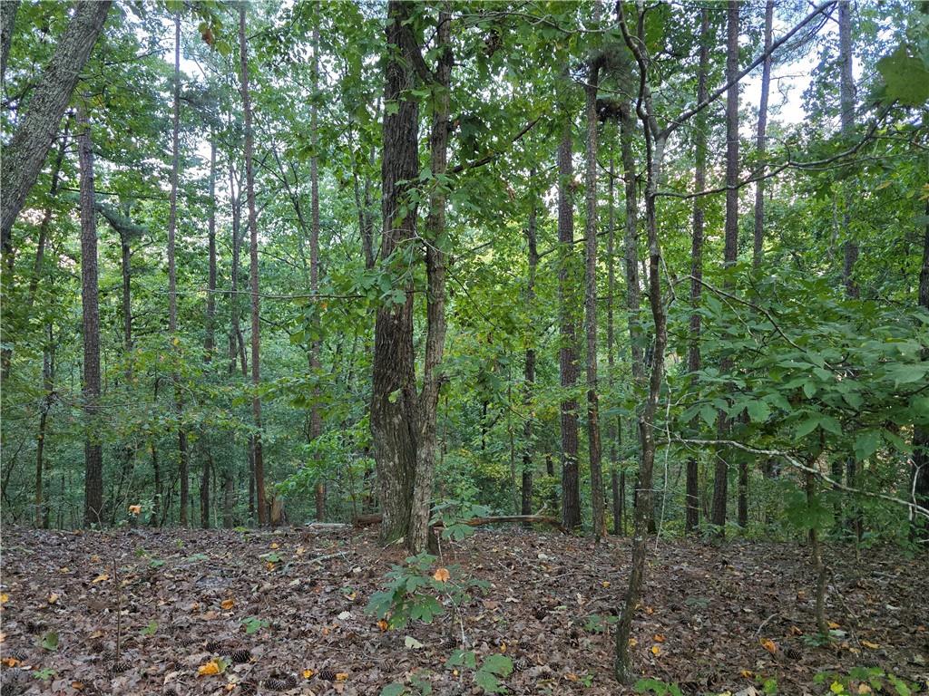 This blank canvas is ready for your masterpiece! Located in the highly sought after Bates Road Community, this lot is ready for you to create your perfect personal retreat just minutes from downtown Cartersville, downtown Acworth, Lakepoint Sports Complex, shopping, dining, recreation, and I-75. The opportunity to own a tract this size in this area is rare - don't let it pass you by - Call today for more information!