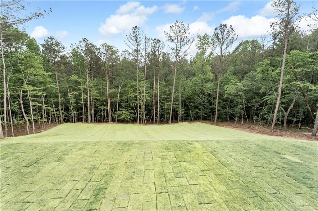 2843 N North Bogan Road, Buford, Georgia image 7
