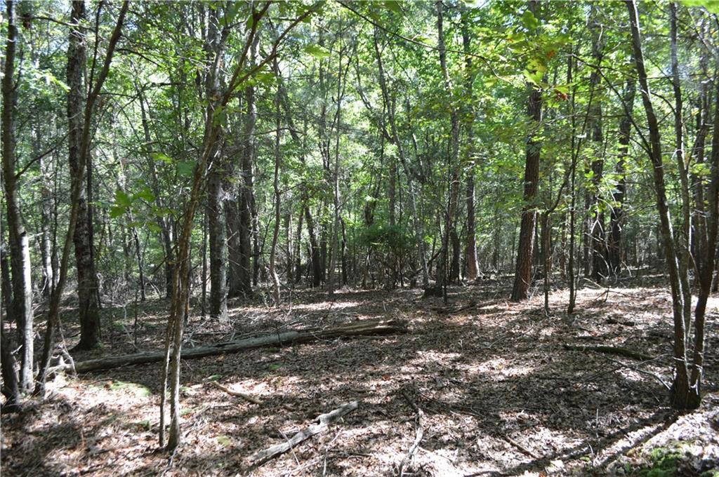5 Ripplewood Trail
