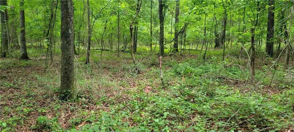 5 Ripplewood Trail