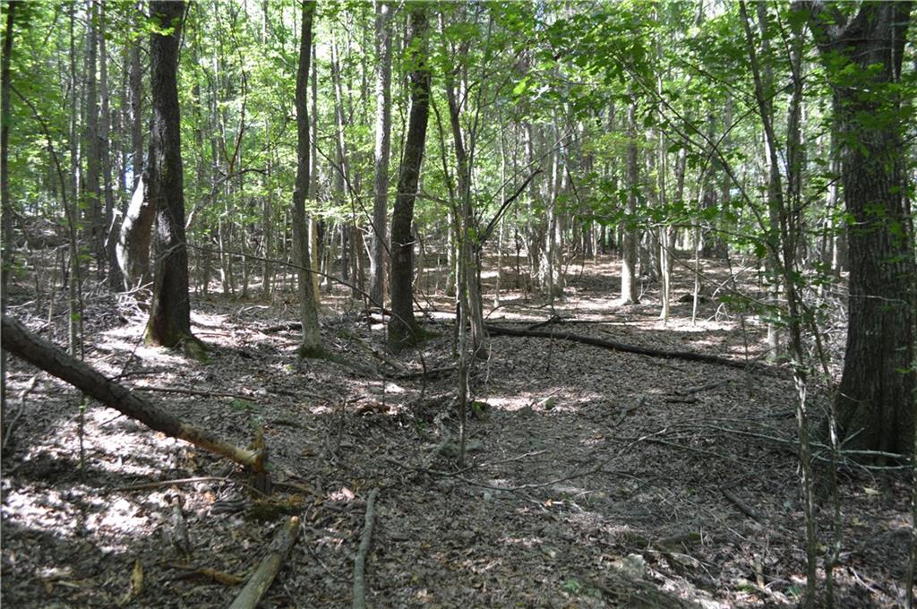 5 Ripplewood Trail