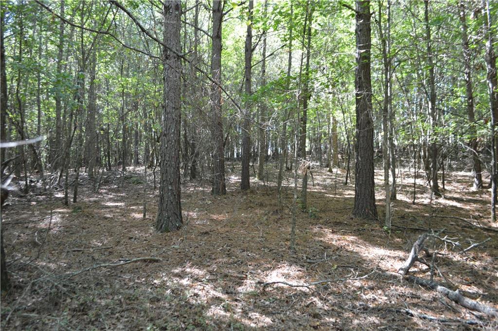 5 Ripplewood Trail