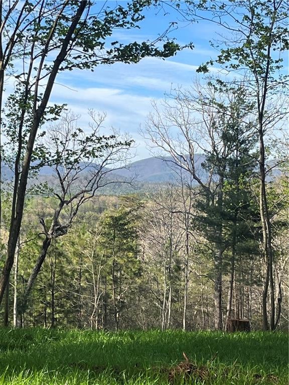 Lot 2 Highway 52 W