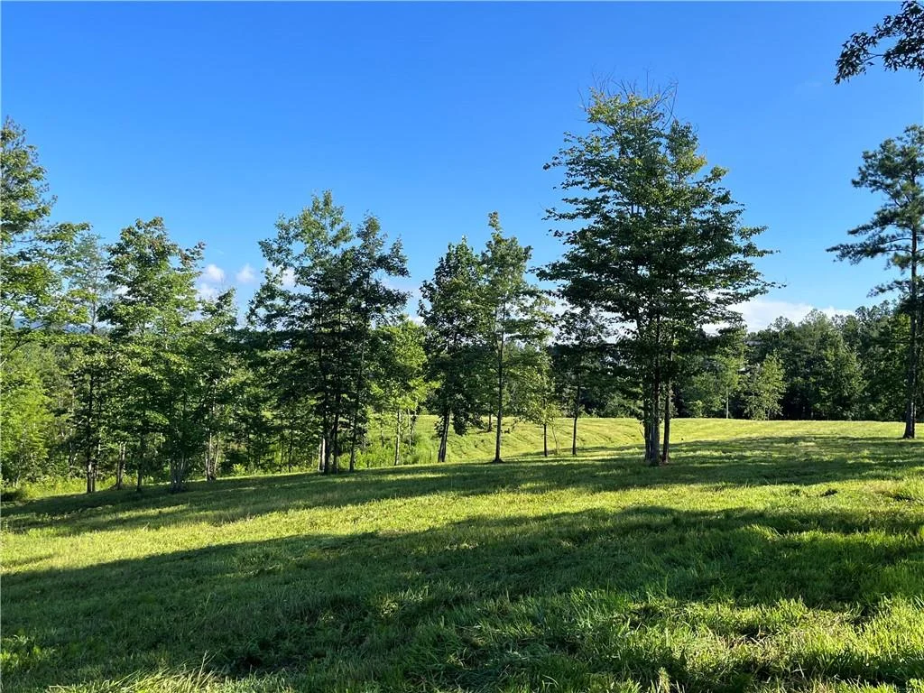 Lot 2 Highway 52 W, Dahlonega, GA, 30533