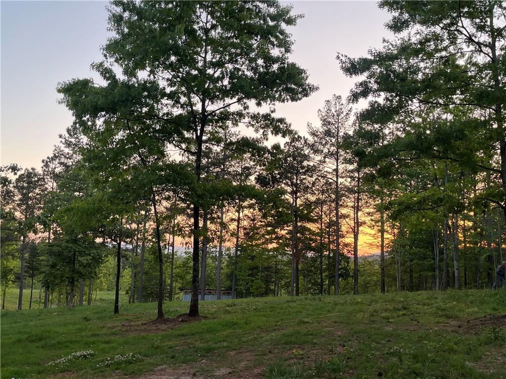 Lot 2 Highway 52 W