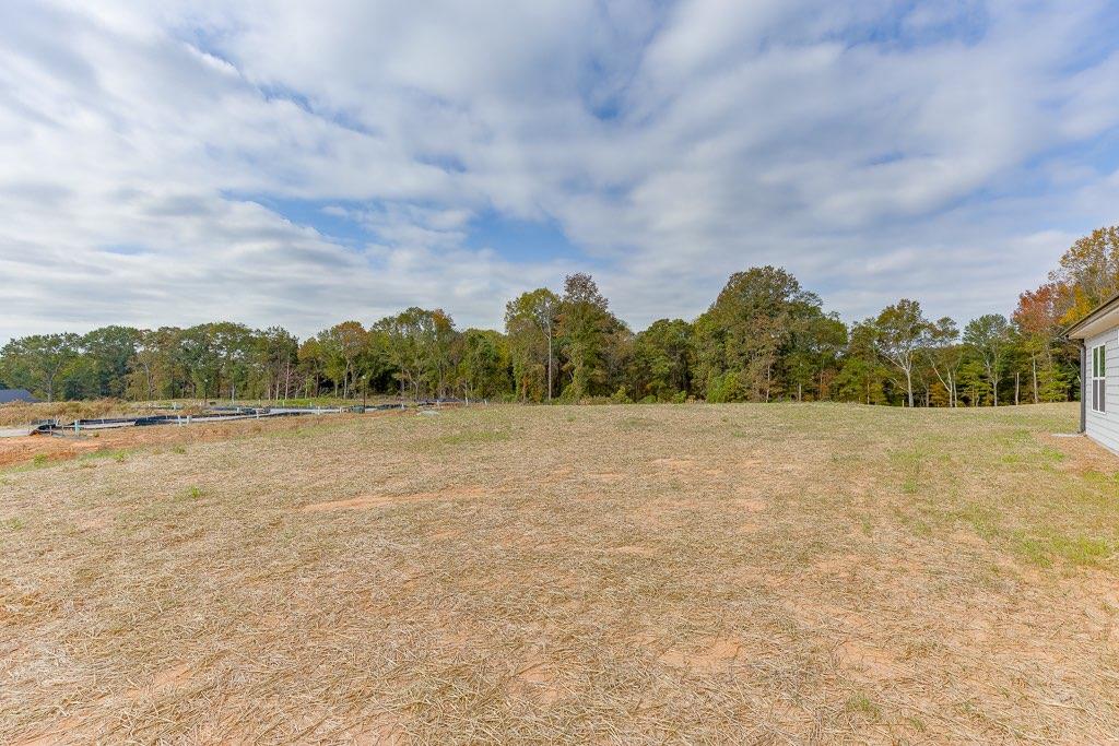 271 Franklin Hills Drive, Carnesville, Georgia image 36