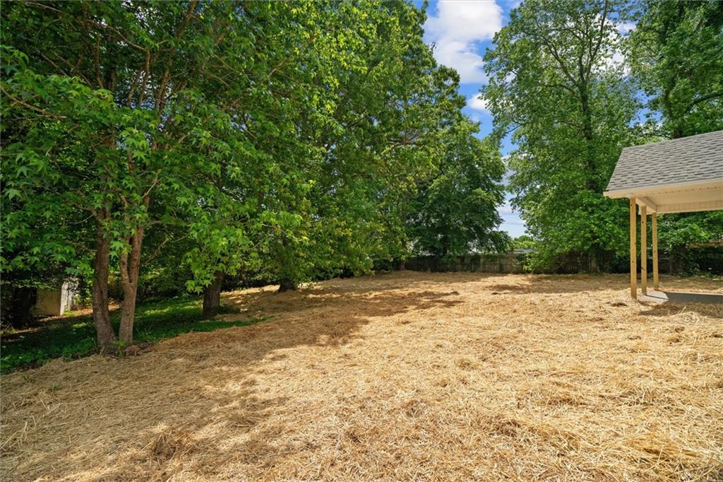 102 Pine Bark Drive, Villa Rica, Georgia image 31