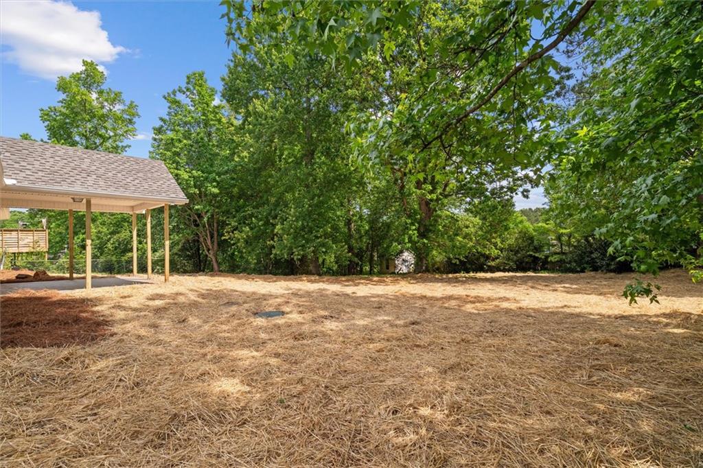 102 Pine Bark Drive, Villa Rica, Georgia image 30