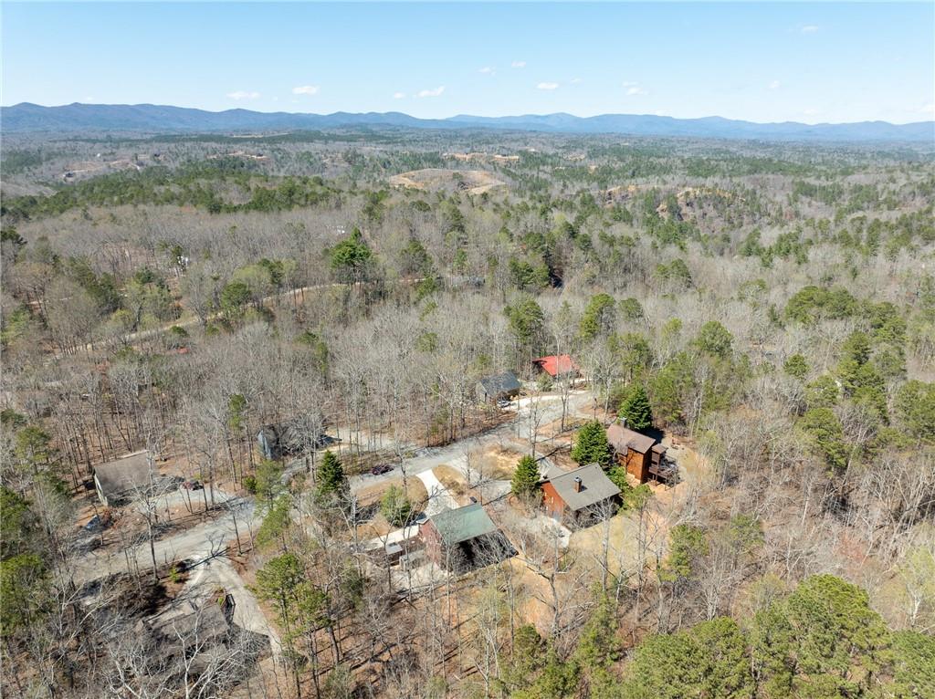 135 Adina Drive, Ellijay, Georgia image 14