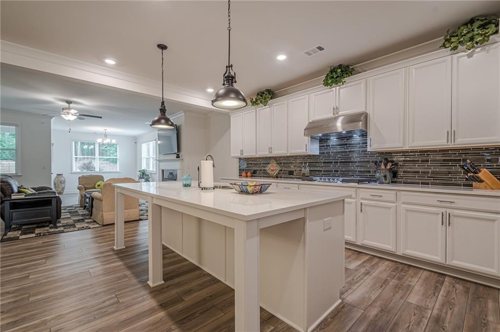 213 Hickory Bluffs Parkway, Canton, Georgia image 10