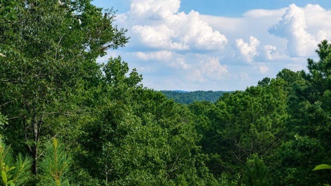Vacant Land For Sale - Shallow Water Way<br/> Gilmer County, Talking Rock, GA 30175